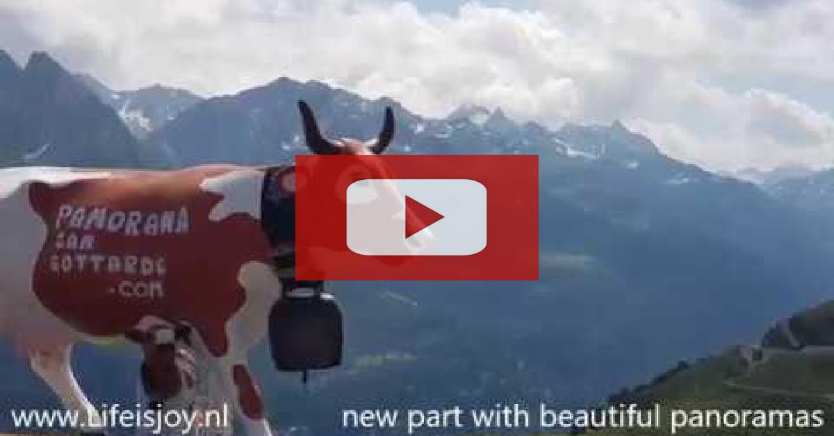 2019 Black F.-Vosges-Alps