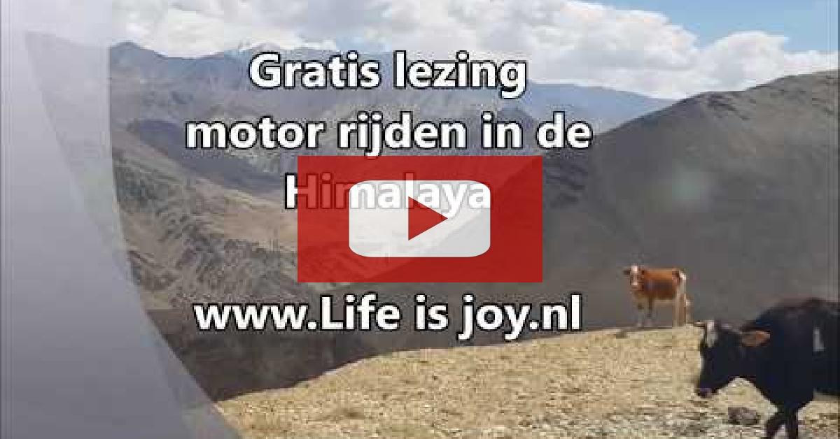 Himalaya lezing koeien
