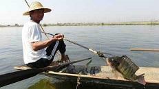 inle lake fisherman