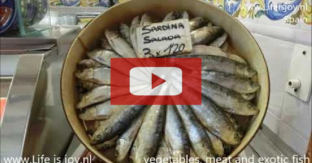 Half hour: South Europe 